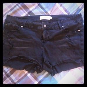 Torrid Frayed Shorts